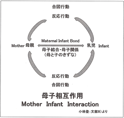 母子相互作用